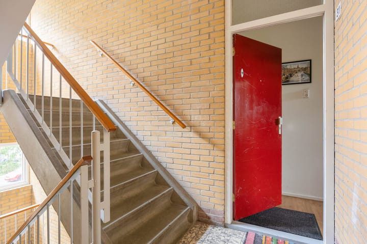 Foto 9 van Dierenriemstraat 31