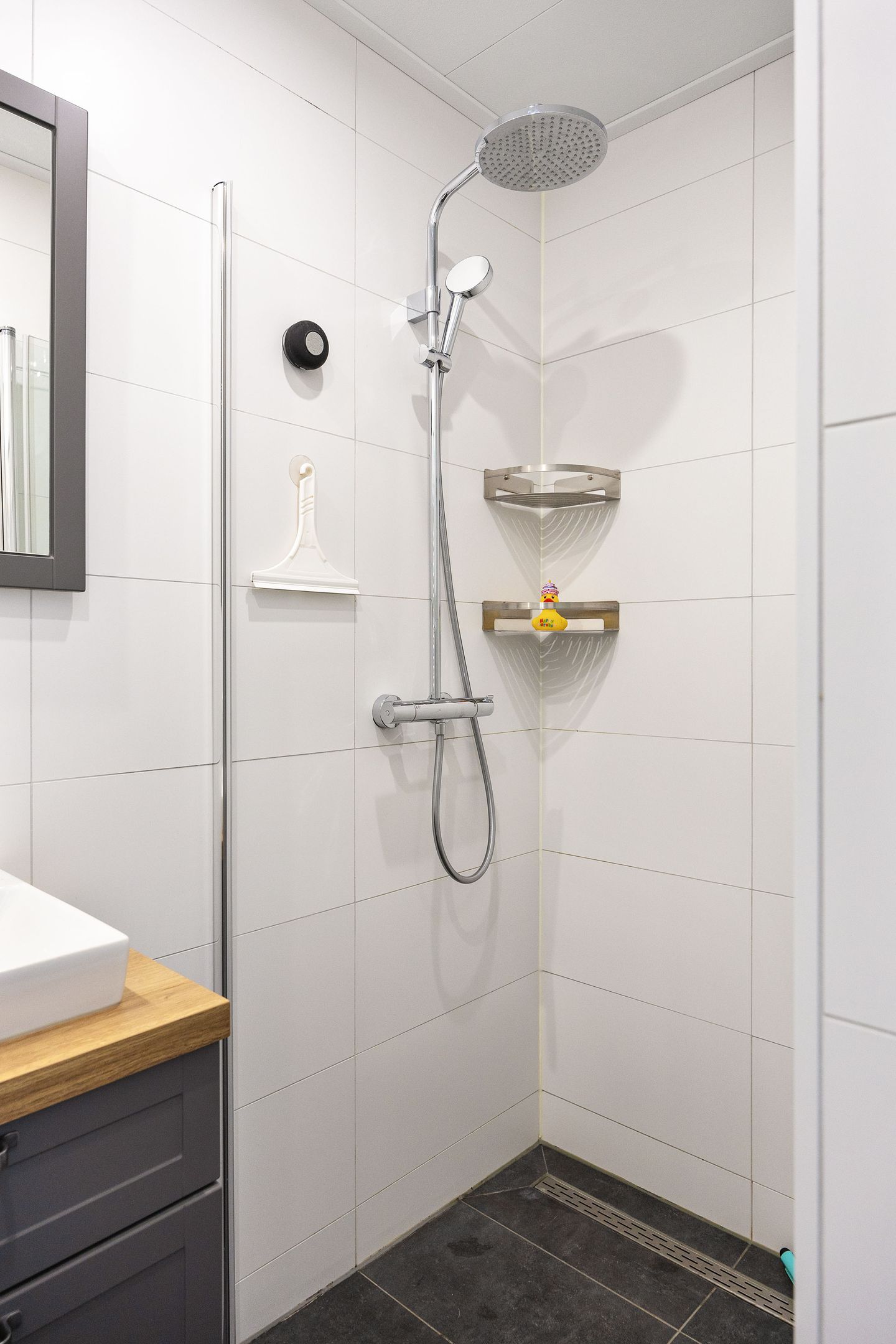 Foto 20 van Dierenriemstraat 31