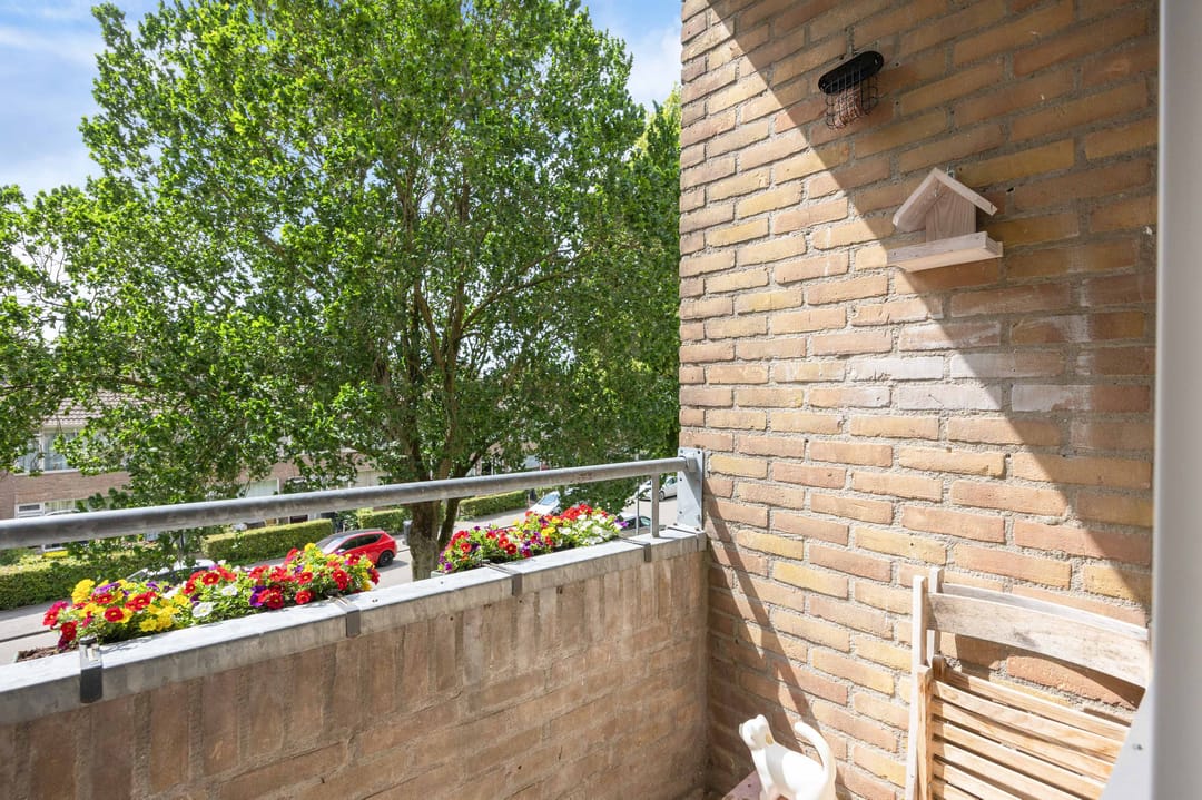 Foto 22 van Dierenriemstraat 31