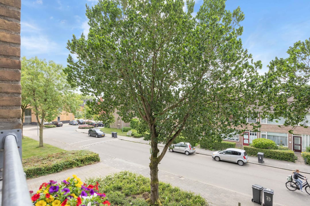 Foto 23 van Dierenriemstraat 31