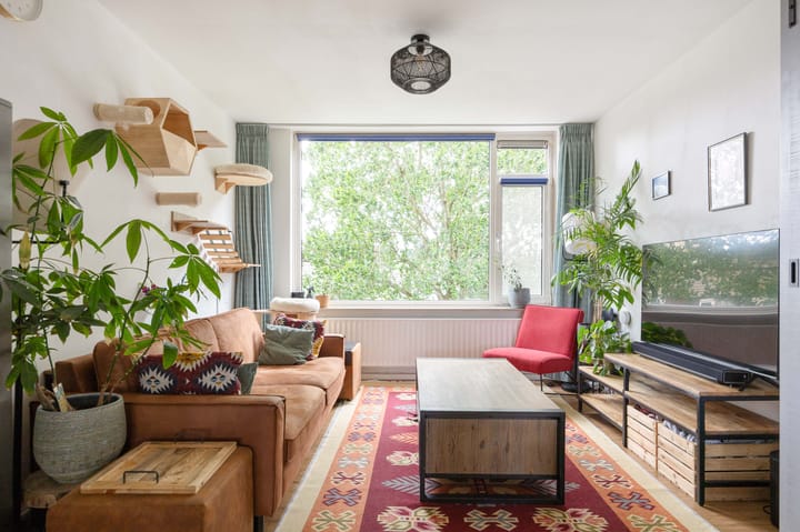 Foto 24 van Dierenriemstraat 31