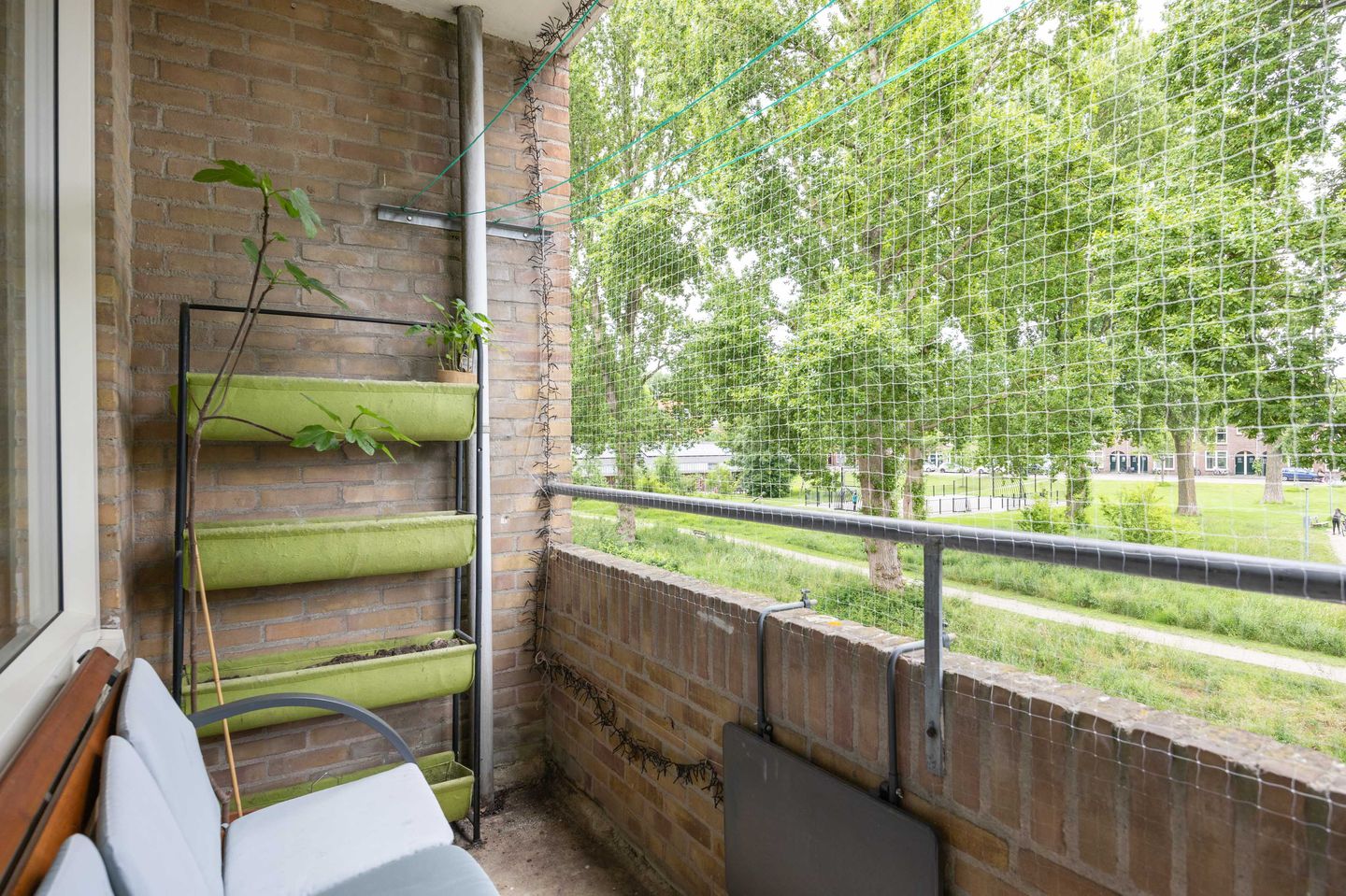 Foto 29 van Dierenriemstraat 31