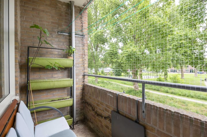 Foto 29 van Dierenriemstraat 31