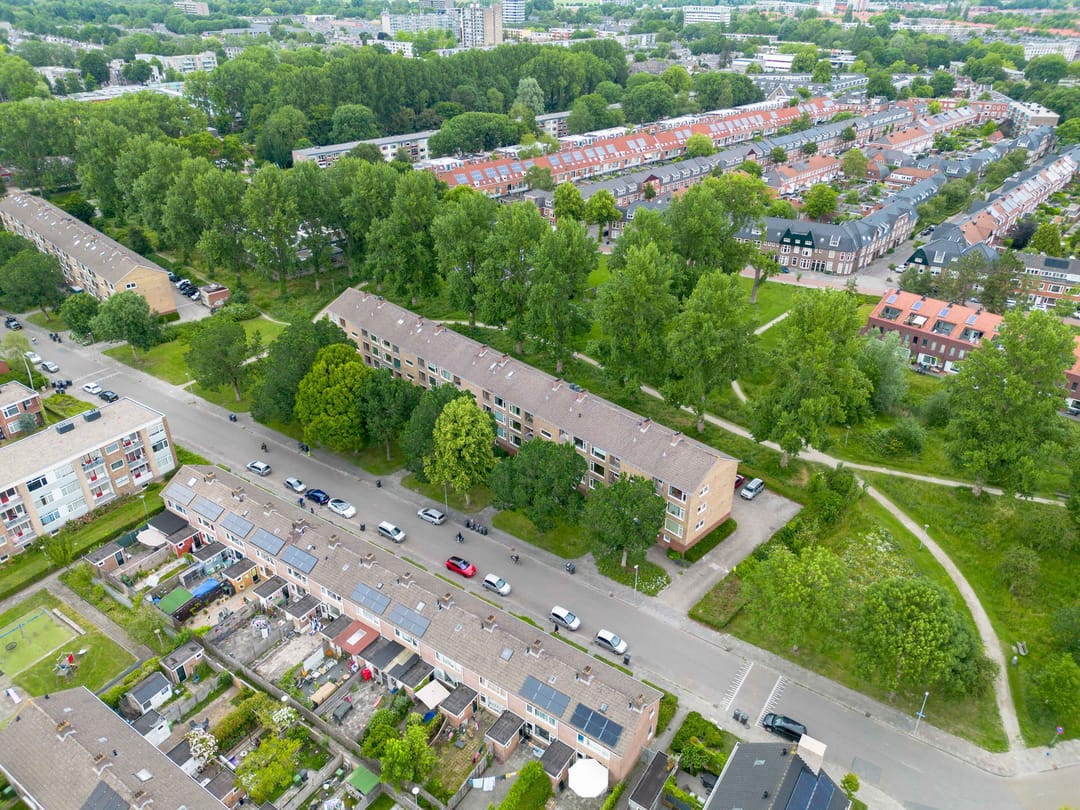 Foto 31 van Dierenriemstraat 31