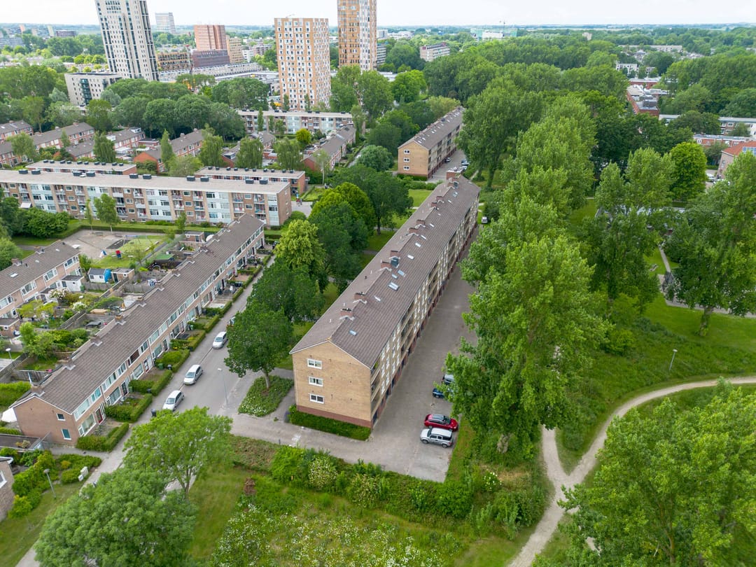 Foto 32 van Dierenriemstraat 31