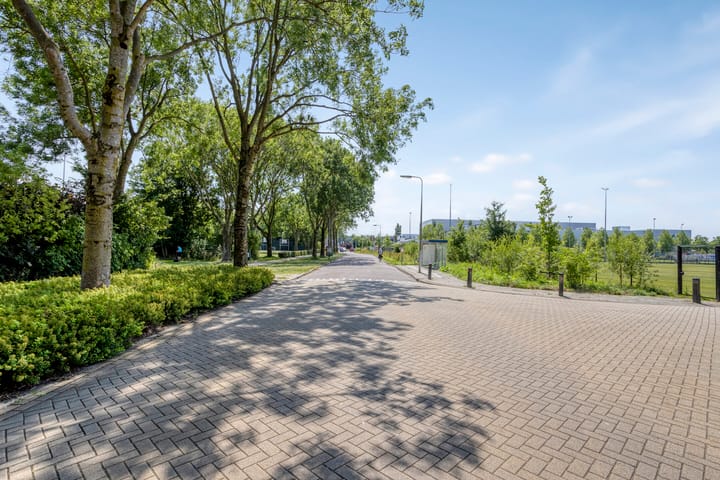 Foto 38 van Grutto 109