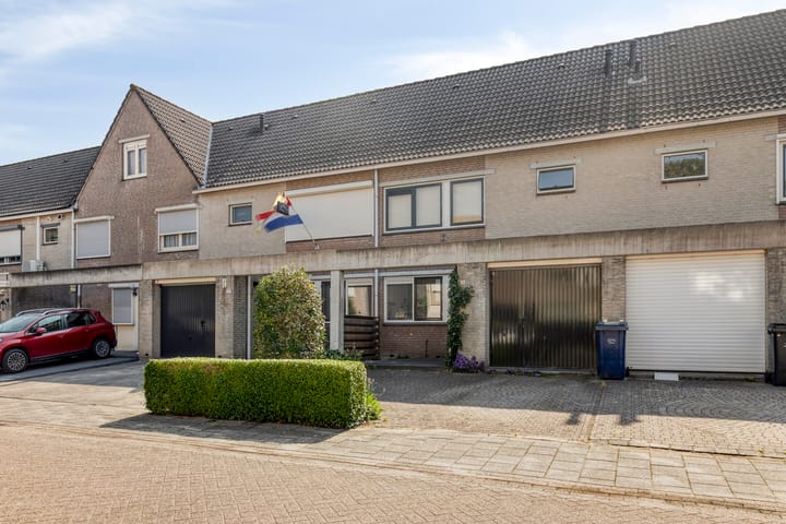undefined main image