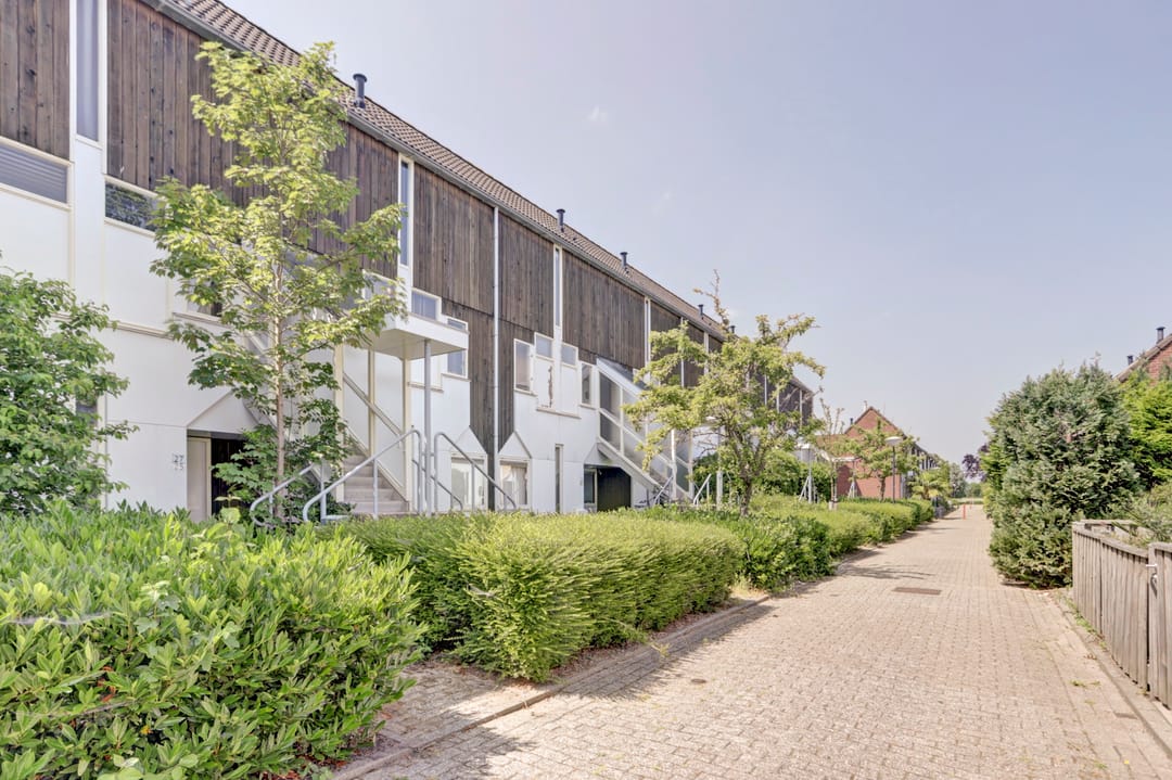 Foto 2 van Kanariesprenk 25