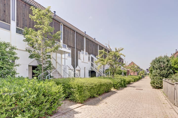 Foto 2 van Kanariesprenk 25