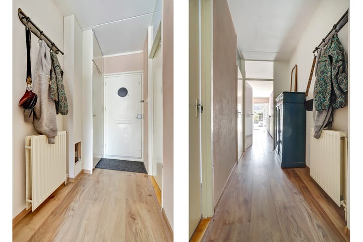 Foto 5 van Kanariesprenk 25