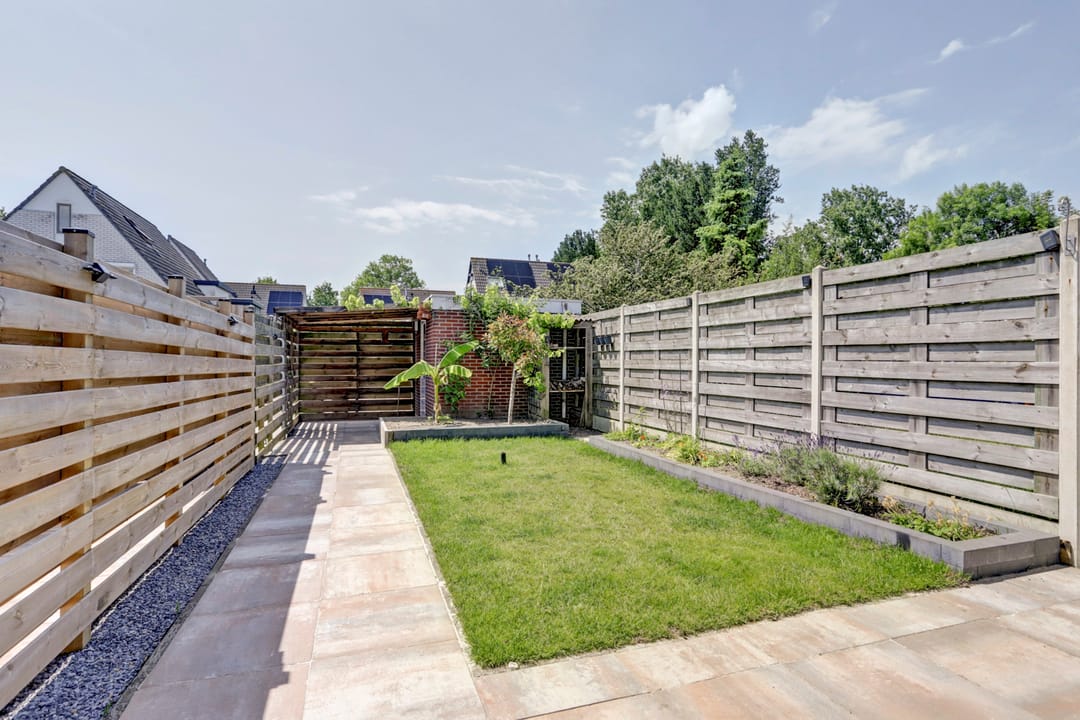 Foto 23 van Kanariesprenk 25