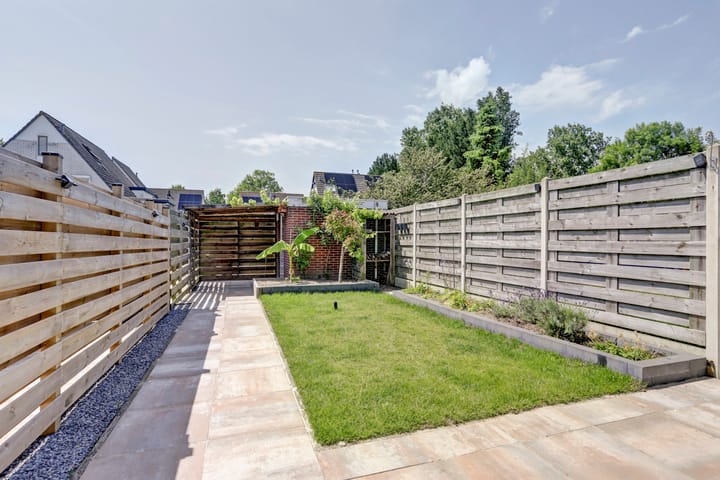 Foto 23 van Kanariesprenk 25