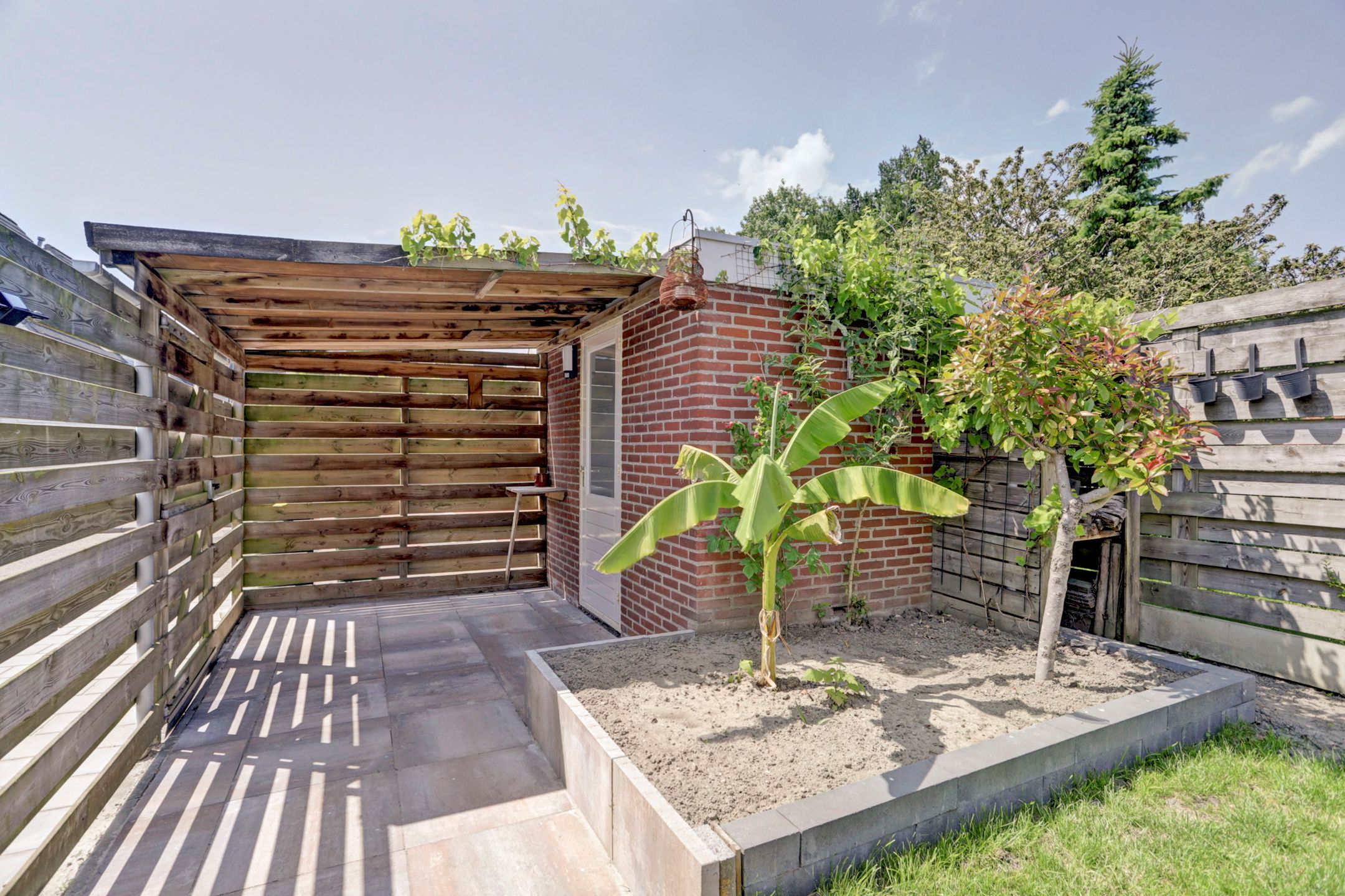 Foto 24 van Kanariesprenk 25