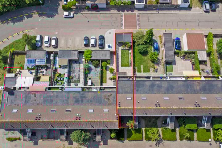 Foto 27 van Kanariesprenk 25