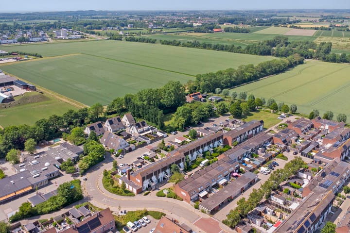 Foto 29 van Kanariesprenk 25