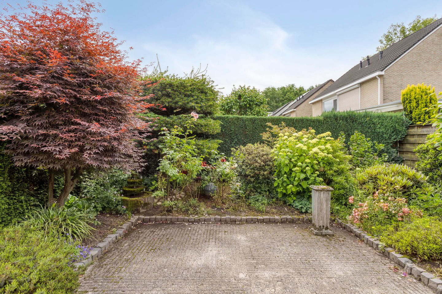 Photo 4 of De Patrijs 19