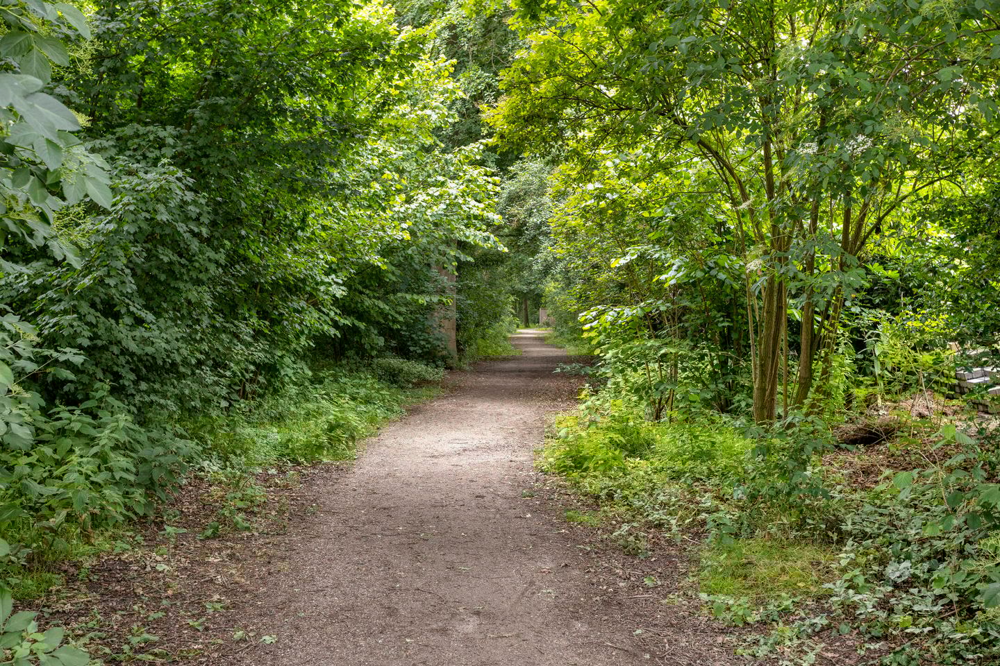 Photo 25 of De Patrijs 19