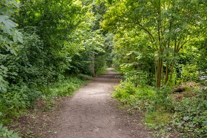 Foto 25 van De Patrijs 19