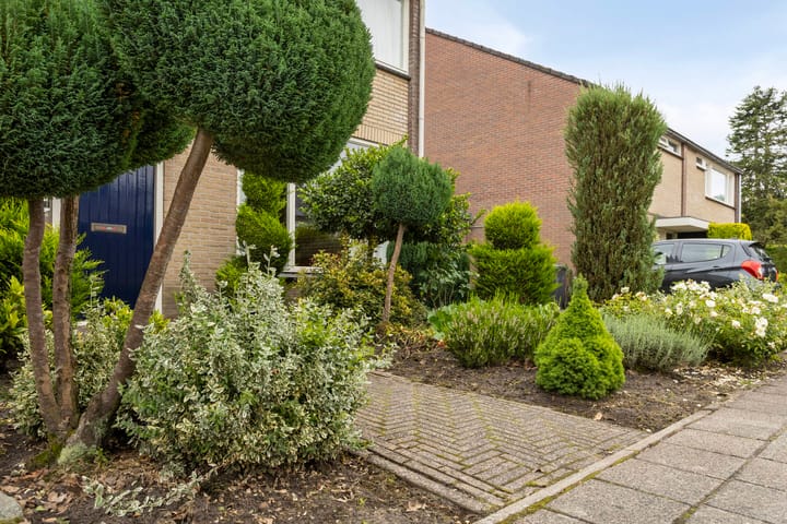 Foto 30 van De Patrijs 19