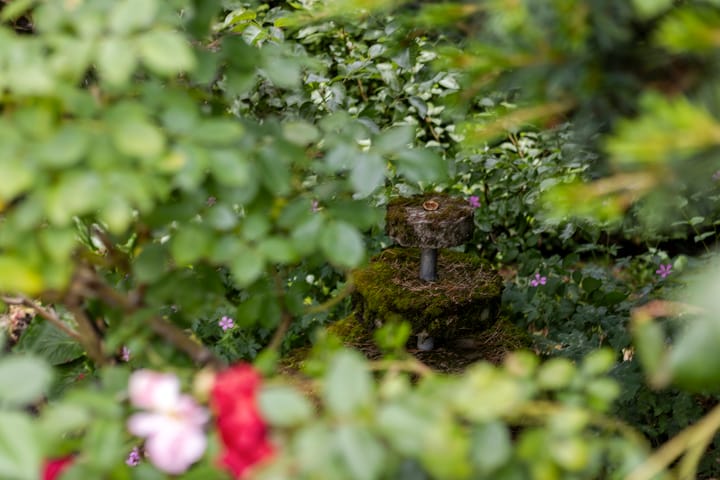 Foto 32 van De Patrijs 19