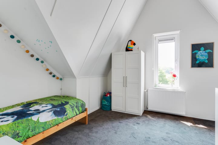 Foto 38 van Omloop 17