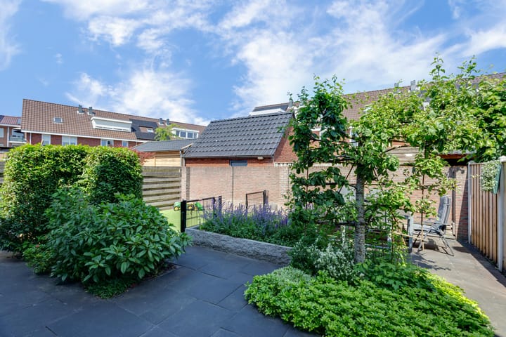 Foto 46 van Omloop 17