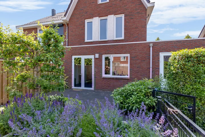 Foto 51 van Omloop 17