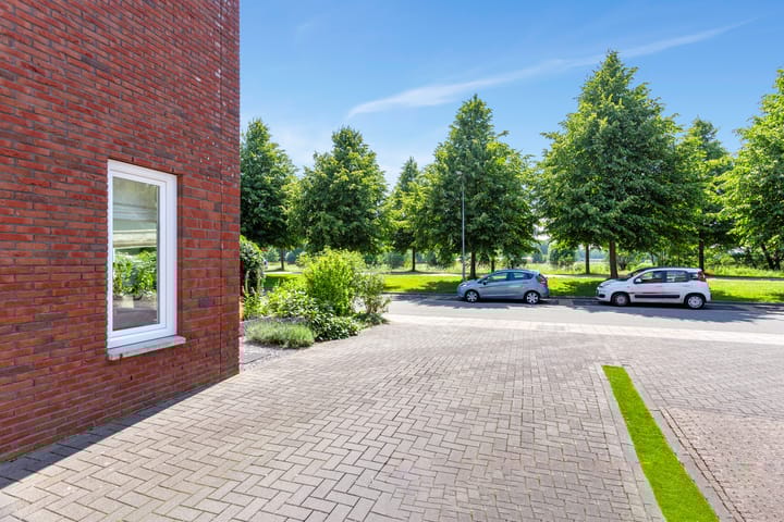 Foto 53 van Omloop 17