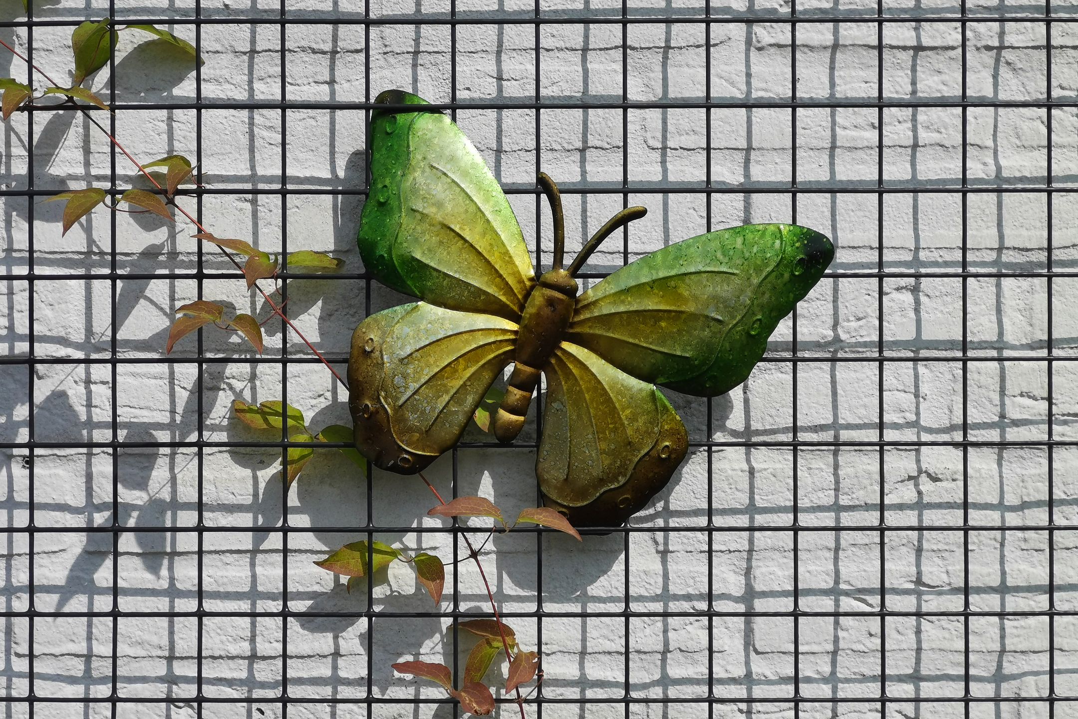 Foto 33 van Ankeveenstraat 108