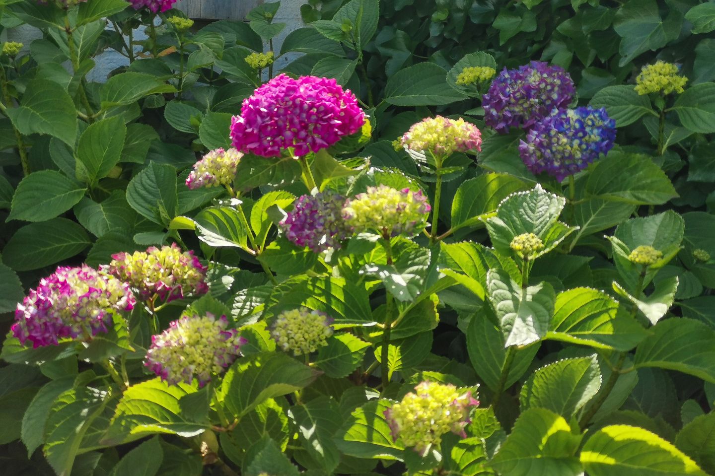 Foto 35 van Ankeveenstraat 108