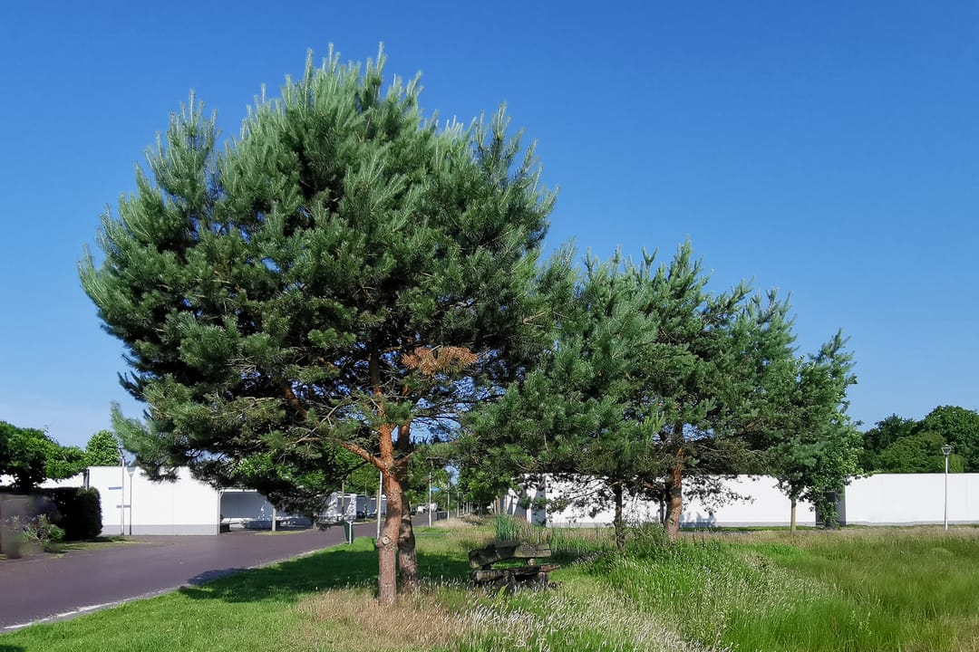 Foto 41 van Ankeveenstraat 108