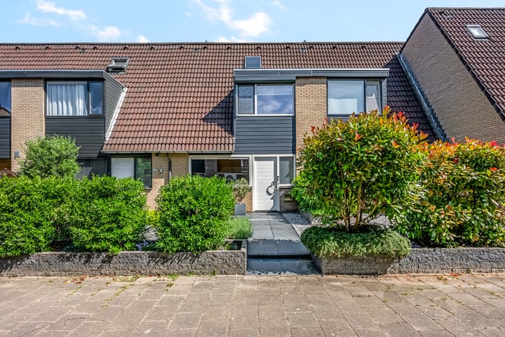 Foto 4 van Galjoen 42