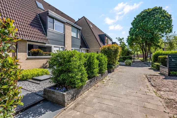 Foto 5 van Galjoen 42