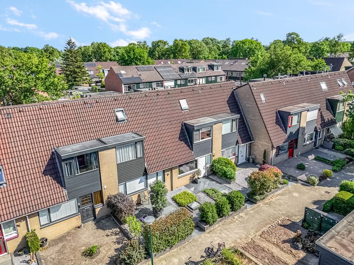 Foto 6 van Galjoen 42