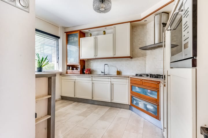 Foto 8 van Galjoen 42