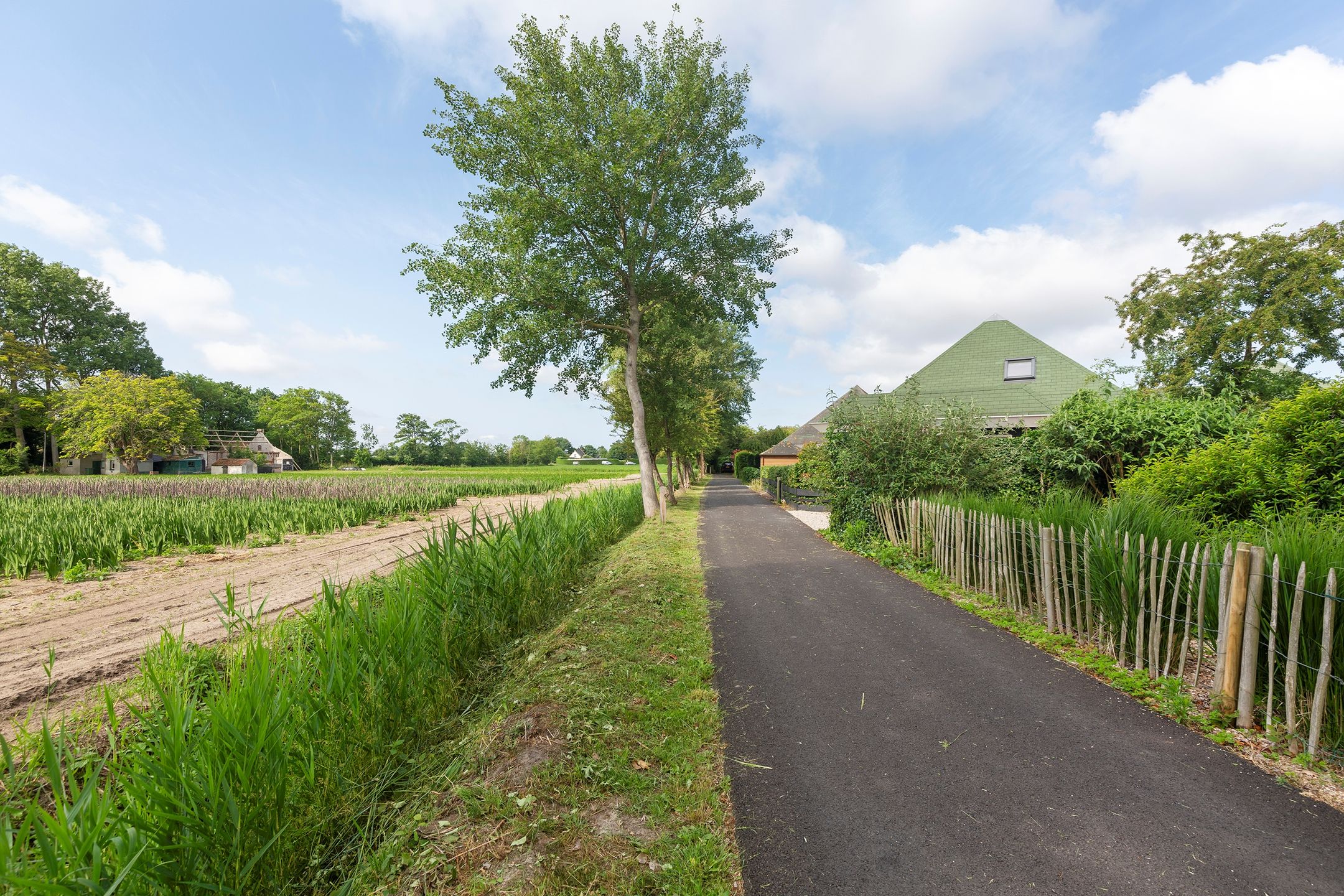 Foto 30 van De Toekomst 126