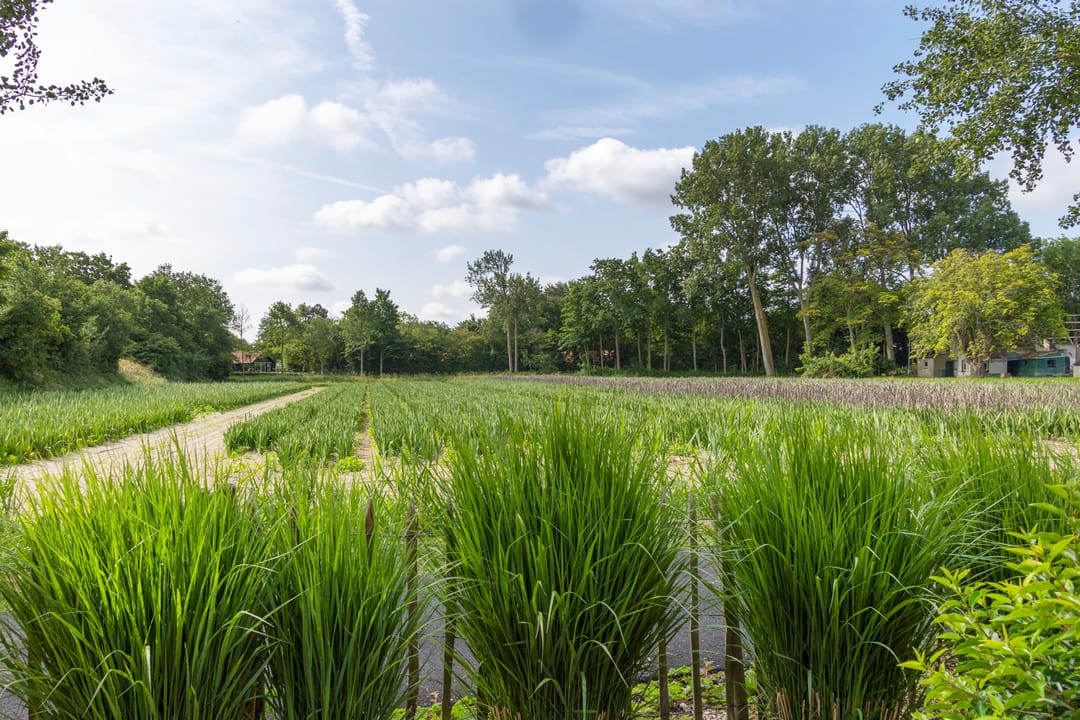 Foto 31 van De Toekomst 126