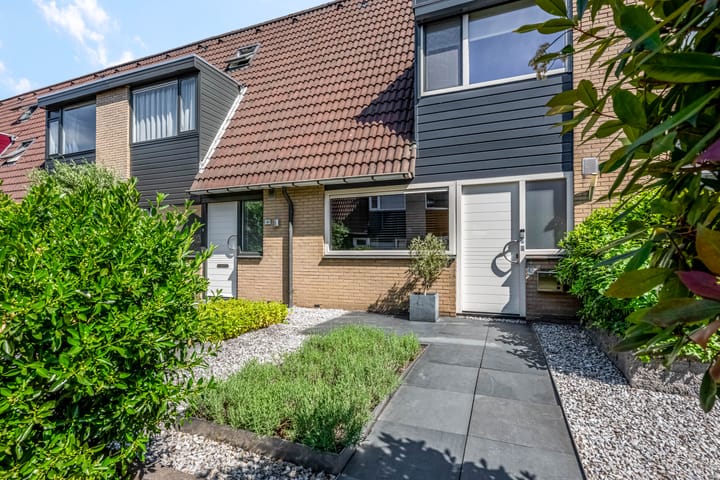 Foto 43 van Galjoen 42