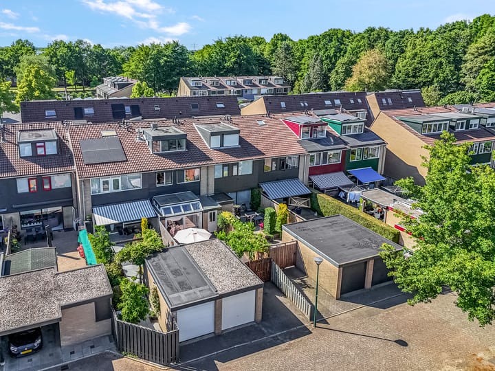 Foto 45 van Galjoen 42