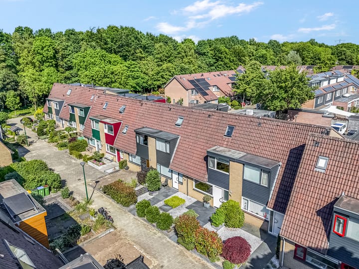 Foto 46 van Galjoen 42