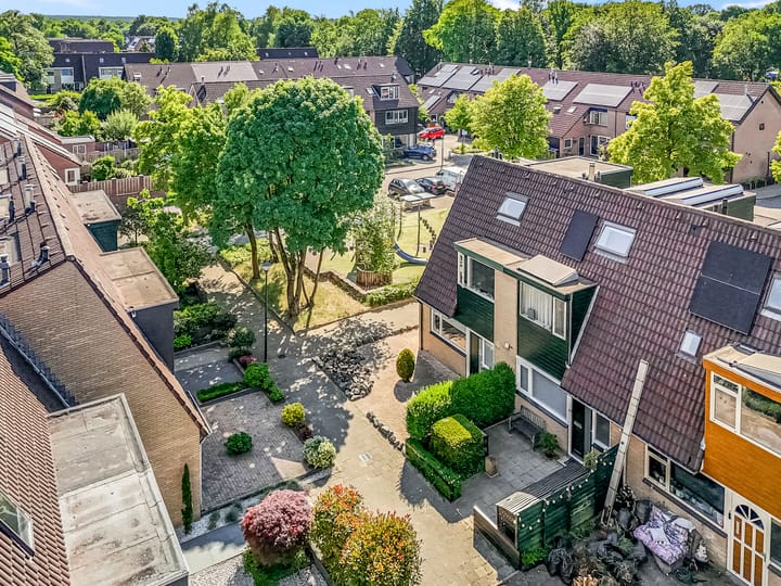 Foto 47 van Galjoen 42