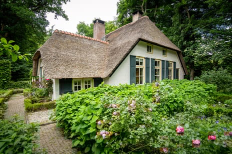 undefined main image