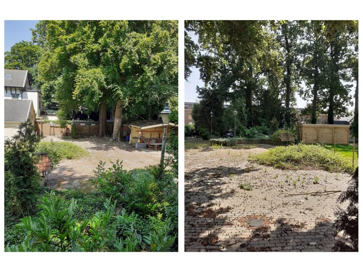 Photo 12 of Berkenlaan