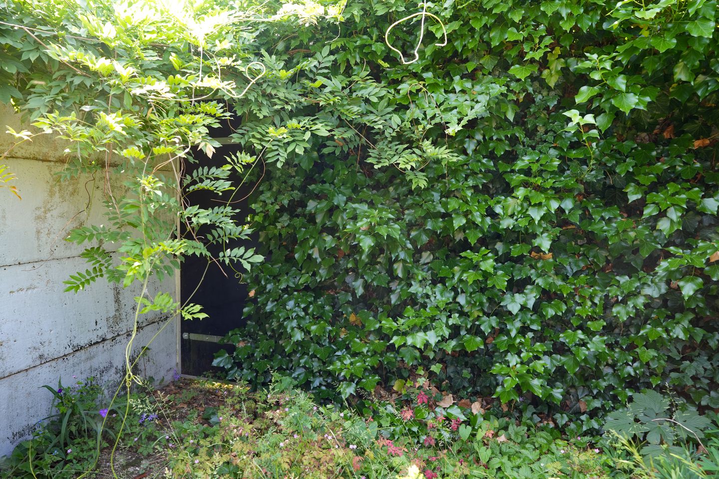 Foto 35 van Kanunnik van Mulicomstraat 5