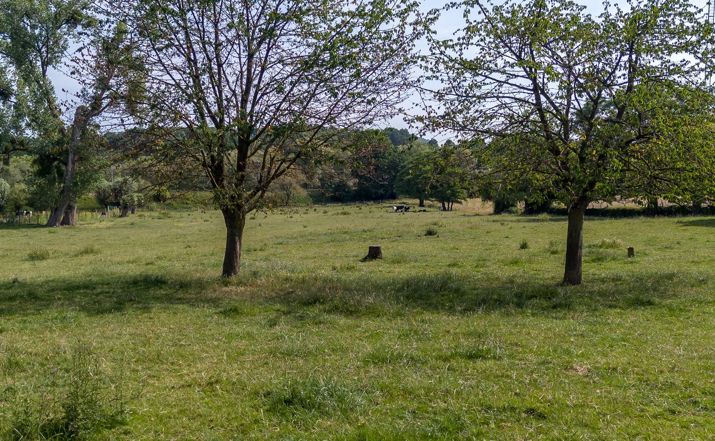 Foto 29 van Meuserstraat 24