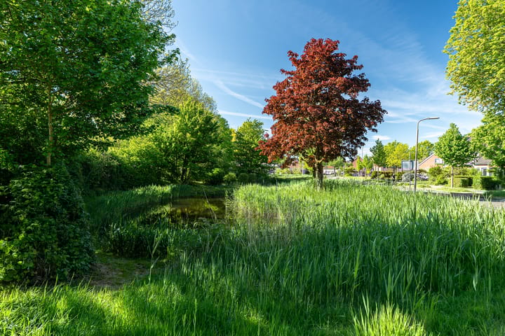 Foto 27 van Dotingastate 21