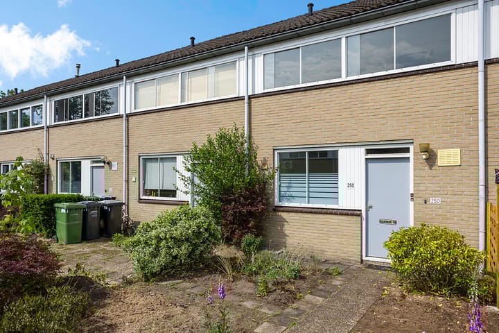 Foto 2 van Hesselterbrink 250