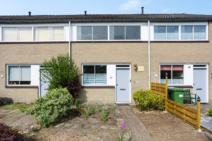 Foto 3 van Hesselterbrink 250