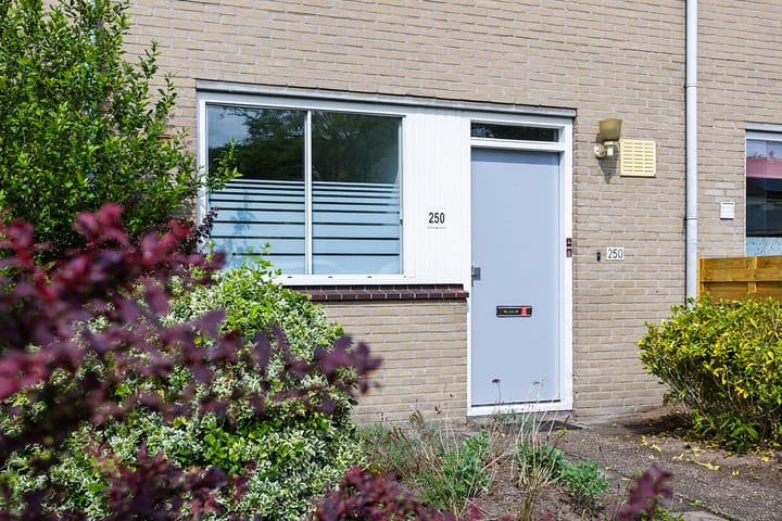 Foto 4 van Hesselterbrink 250