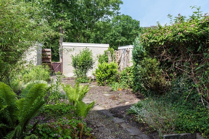 Foto 21 van Hesselterbrink 250